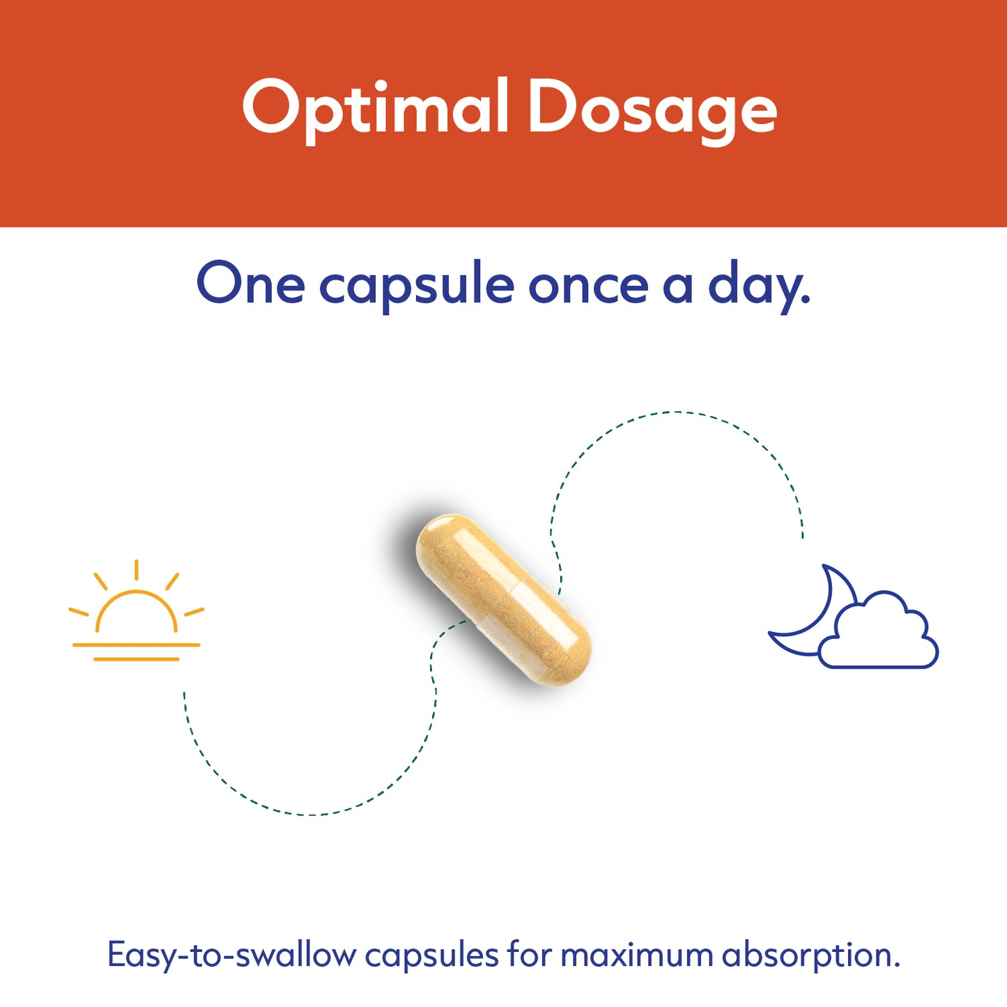 Vitamin B-Complex Pro 90 Veggie Capsules