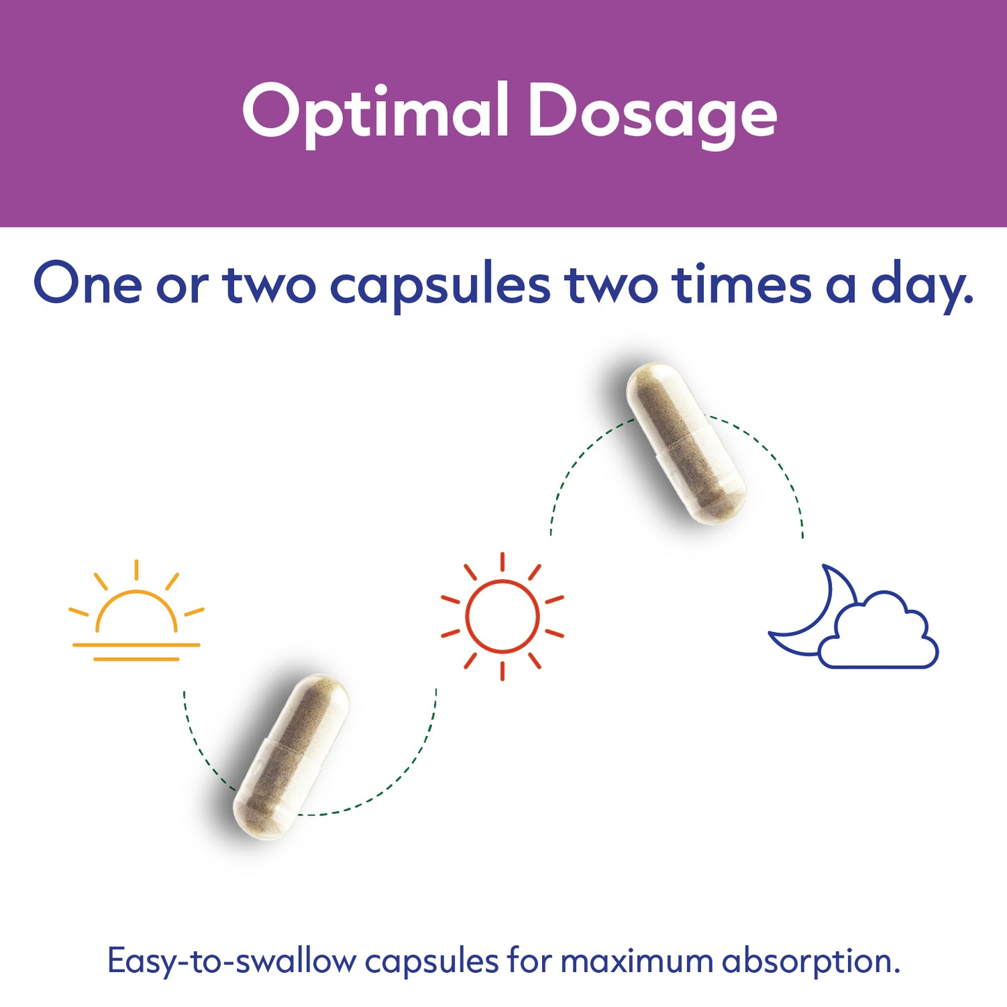 Milk Thistle 500mg 180 Capsules