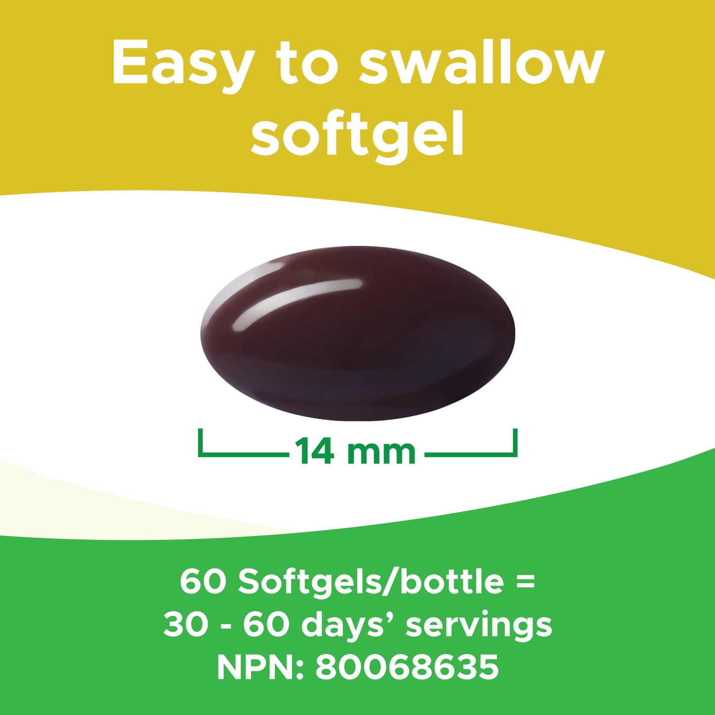 Lutein 10mg 60 Softgels