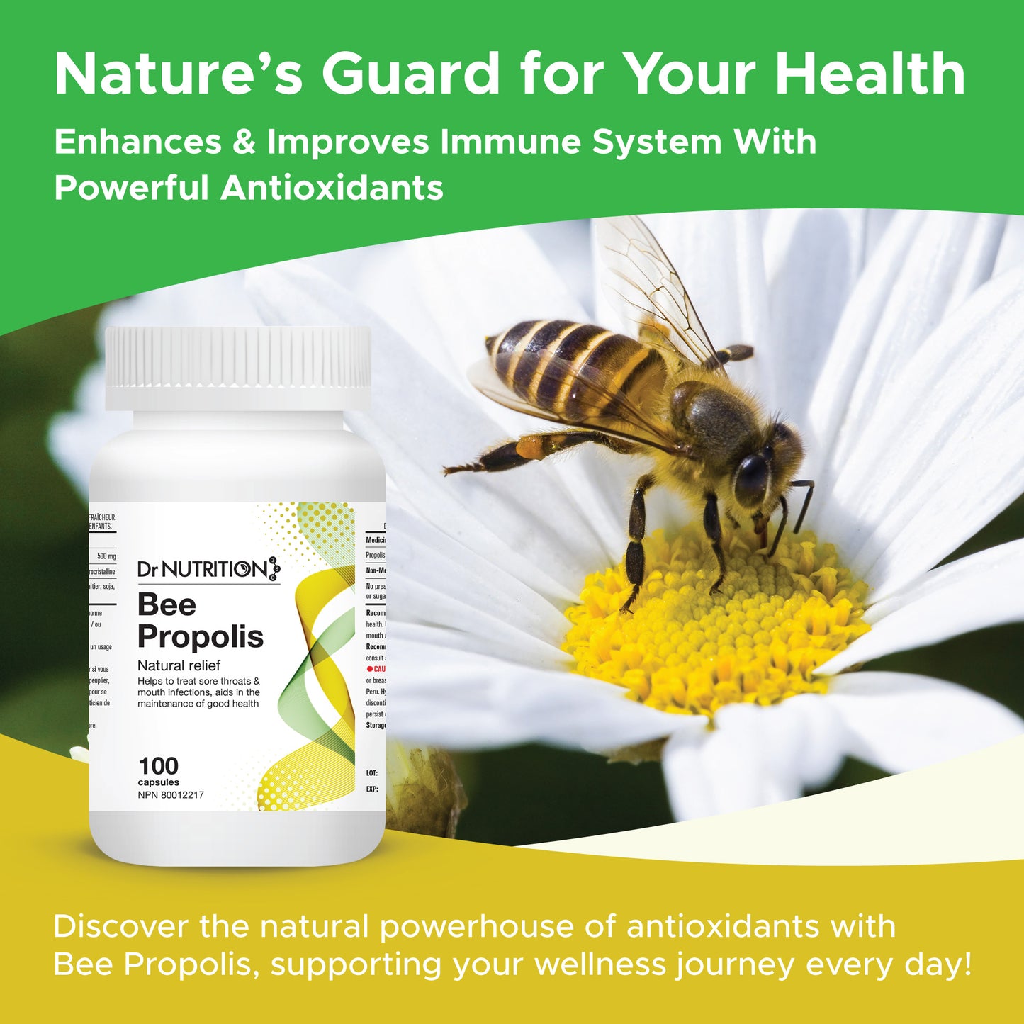 Bee Propolis 500mg 100 Capsules